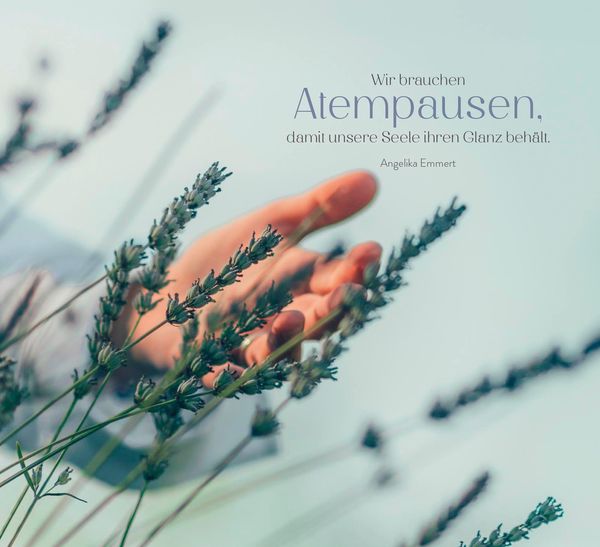 Produktbild: Atempausen in der Natur