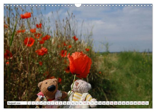 Produktbild: Die kleine Welt der Teddyb&auml;rchen (Wandkalender 2026 DIN A3 quer), CALVENDO Monatskalender