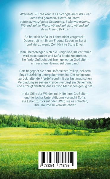 Produktbild: Enya - Weg zur Geborgenheit