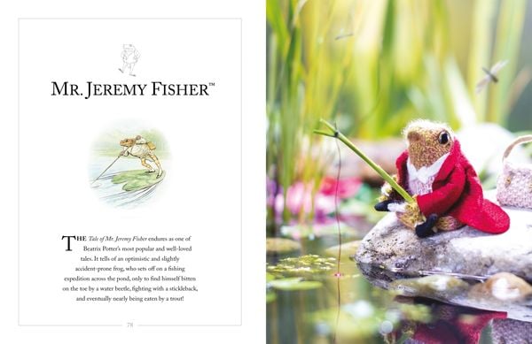 Produktbild: Knitting Peter Rabbit(TM)