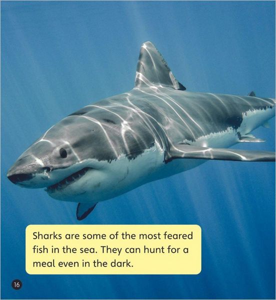Produktbild: Real-life Monsters (Set 10)