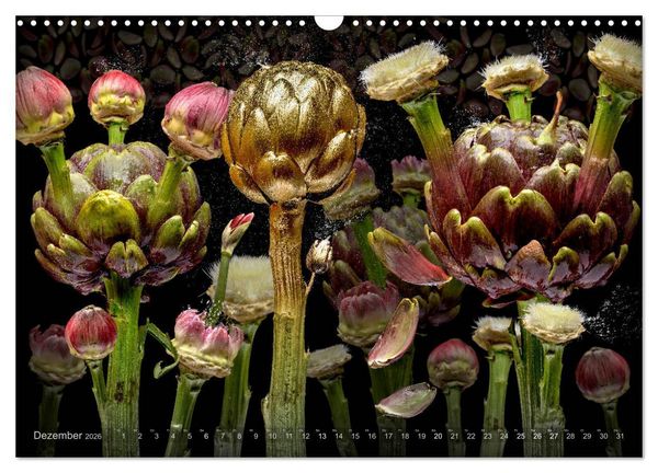 Produktbild: Flora miracula - Die wundersame Welt des Fotografen Olaf Bruhn (Wandkalender 2026 DIN A3 quer), CALVENDO Monatskalender