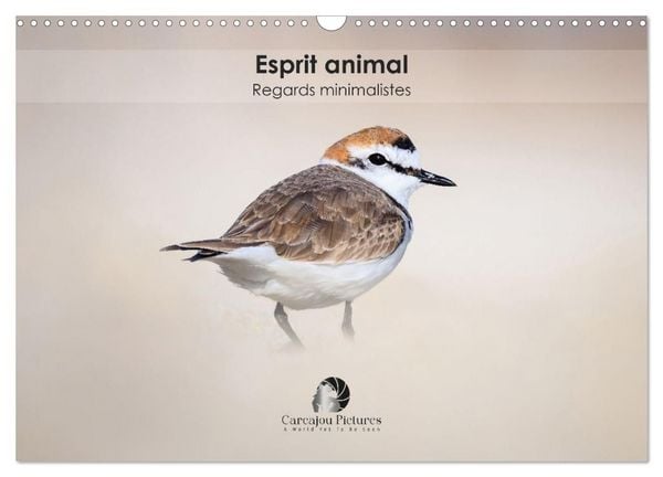 Produktbild: Esprit animal - Regards minimalistes (Calendrier mural 2027 DIN A3 vertical), CALVENDO calendrier mensuel
