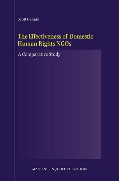 Produktbild: The Effectiveness of Domestic Human Rights NGOs