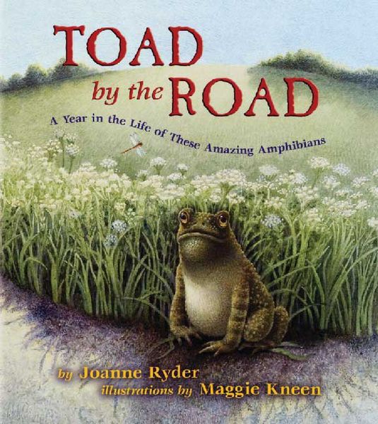 Produktbild: Toad by the Road: A Year in the Life of These Amazing Amphibians