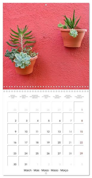 Produktbild: Leaves and flowers of Burano (Wall Calendar 2026 12 &times; 12 Inch) CALVENDO 12 Month Wall Calendar