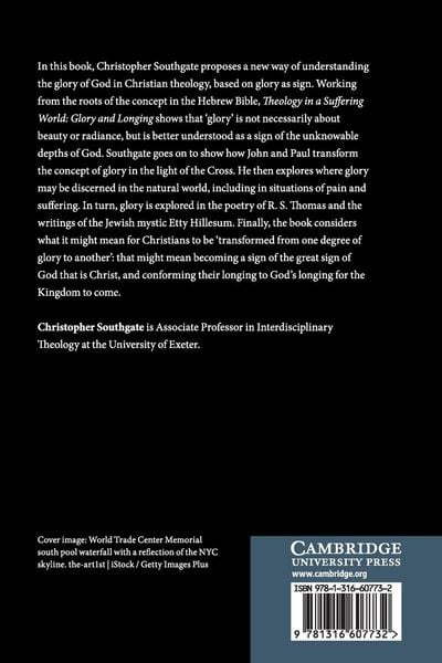 Produktbild: Theology in a Suffering World