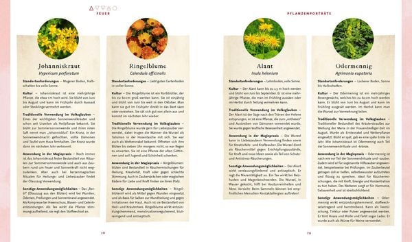 Produktbild: Magie im Hexengarten &ndash; G&auml;rtnern mit gr&uuml;ner Magie