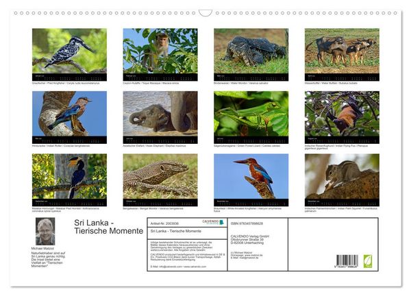 Produktbild: Sri Lanka - Tierische Momente (Wandkalender 2026 DIN A2 quer), CALVENDO Monatskalender