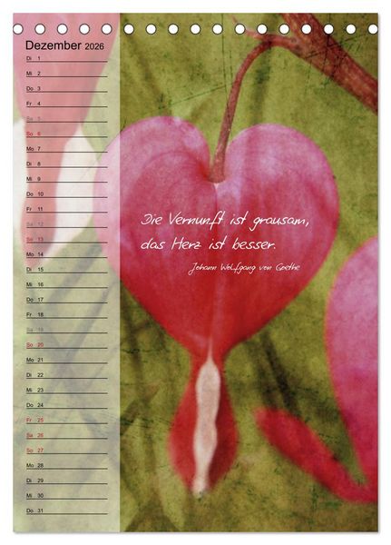 Produktbild: Blumen & Zitate / Geburtstagskalender (Tischkalender 2026 DIN A5 hoch), CALVENDO Monatskalender
