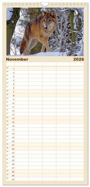Produktbild: Familienplaner 2026 - Begegnung mit dem Wolf mit 5 Spalten (Wandkalender, 21 x 45 cm) CALVENDO