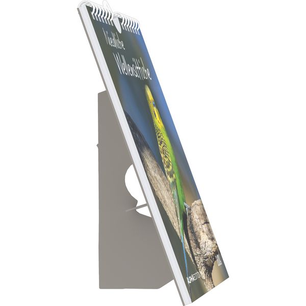Produktbild: Niedliche Wellensittiche 2026 - Postkartenkalender 16x17 cm - Budgies - zum Aufstellen oder Aufhängen - Monatskalendarium - Gadget - Mitbringsel - Alp