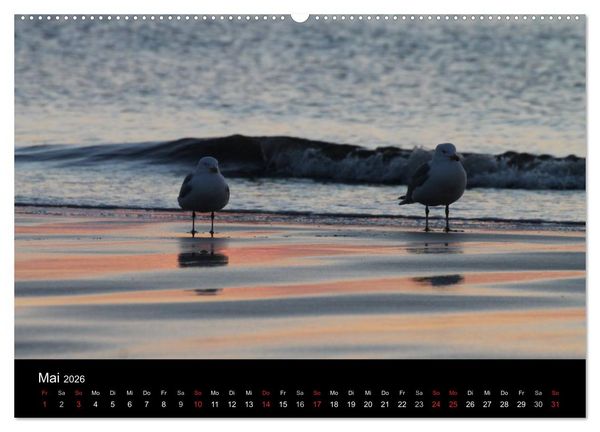 Produktbild: Sylt 2026 (hochwertiger Premium Wandkalender 2026 DIN A2 quer), Kunstdruck in Hochglanz