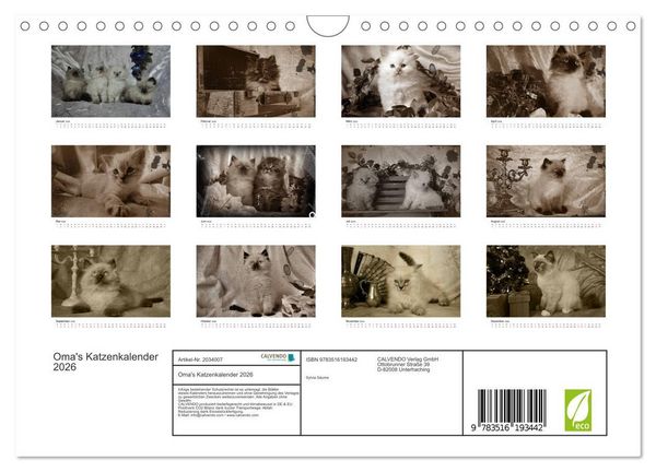 Produktbild: Oma's Katzenkalender 2026 (Wandkalender 2026 DIN A4 quer), CALVENDO Monatskalender