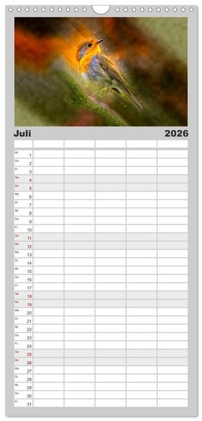 Produktbild: Familienplaner 2026 - Bei uns im Garten - Rotkehlchen mit 5 Spalten (Wandkalender, 21 x 45 cm) CALVENDO