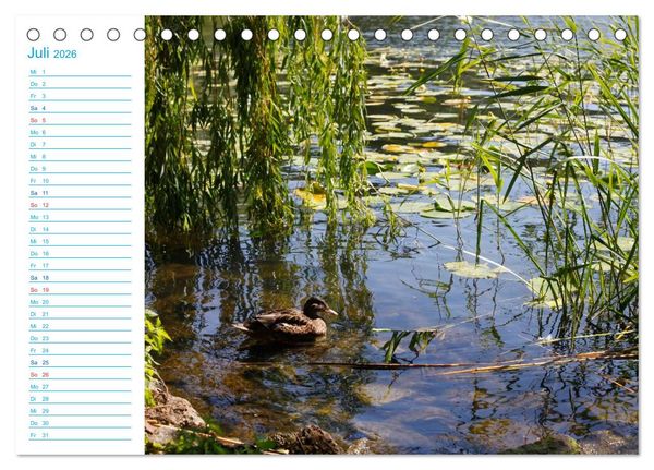 Produktbild: Urlaubsparadies Scharm&uuml;tzelsee (Tischkalender 2026 DIN A5 quer), CALVENDO Monatskalender