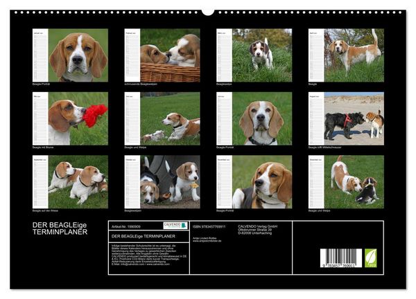 Produktbild: DER BEAGLEige TERMINPLANER (hochwertiger Premium Wandkalender 2026 DIN A2 quer), Kunstdruck in Hochglanz