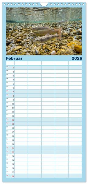 Produktbild: Familienplaner 2026 - Faszination Fische mit 5 Spalten (Wandkalender, 21 x 45 cm) CALVENDO