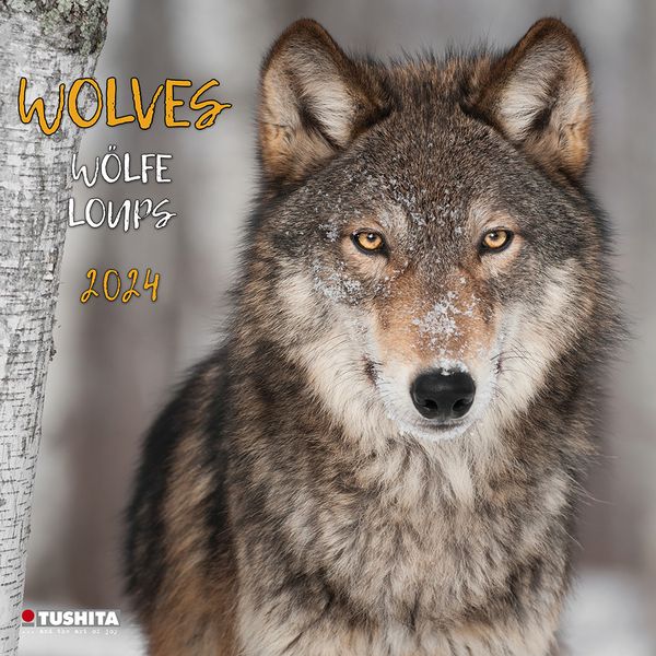 Produktbild: Wolves 2024