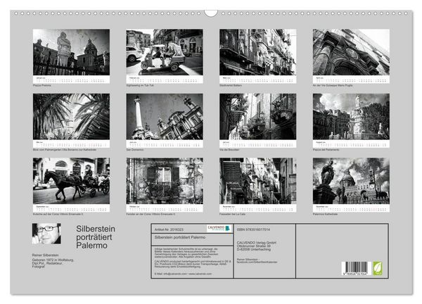 Produktbild: Silberstein portr&auml;tiert Palermo (Wandkalender 2026 DIN A2 quer), CALVENDO Monatskalender
