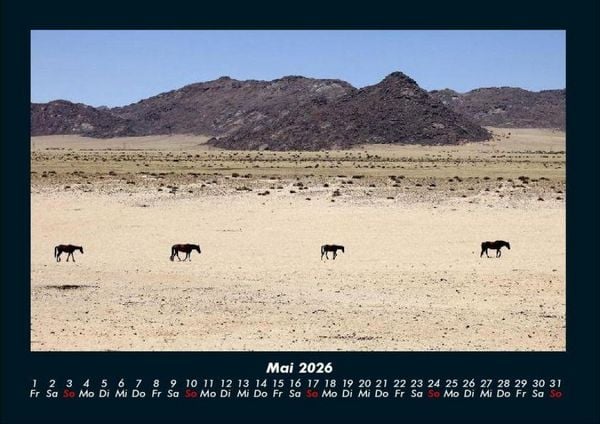 Produktbild: Pferdegefl&uuml;ster 2026 Fotokalender DIN A4