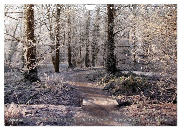 Produktbild: Impressionen aus Grevenbroich (Wandkalender 2026 DIN A4 quer), CALVENDO Monatskalender