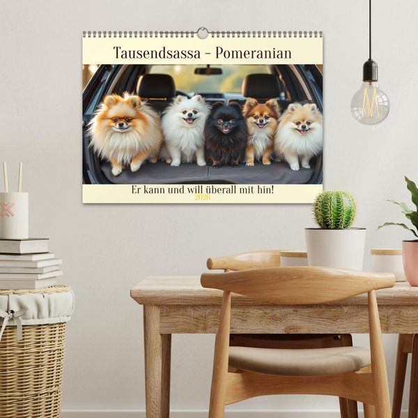 Produktbild: Tausendsassa - Pomeranian (Wandkalender 2026 DIN A3 quer), CALVENDO Monatskalender