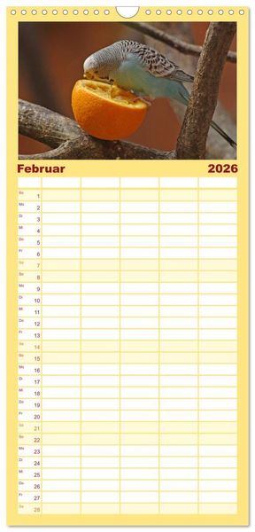 Produktbild: Familienplaner 2026 - Wellensittiche - Gefiederte Freunde mit 5 Spalten (Wandkalender, 21 x 45 cm) CALVENDO