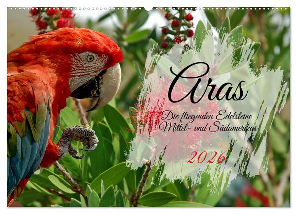 Produktbild: Aras - die fliegenden Edelsteine Mittel- und S&uuml;damerikas (Wandkalender 2026 DIN A2 quer), CALVENDO Monatskalender