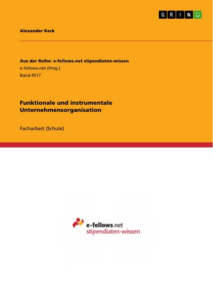 Produktbild: Funktionale und instrumentale Unternehmensorganisation