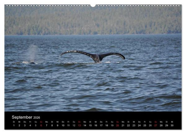 Produktbild: Vancouver und Vancouver Island 2026 (Wandkalender 2026 DIN A2 quer), CALVENDO Monatskalender