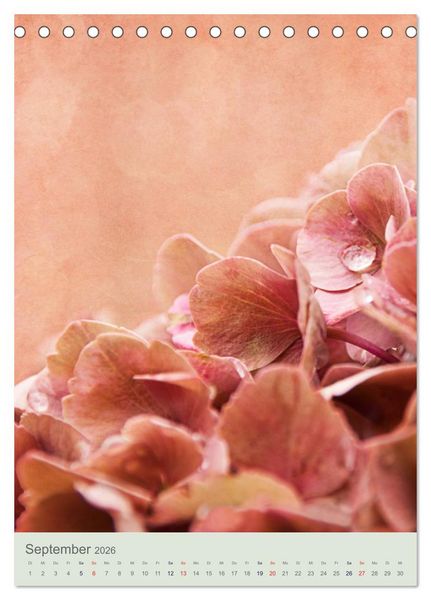 Produktbild: Flora (Tischkalender 2026 DIN A5 hoch), CALVENDO Monatskalender