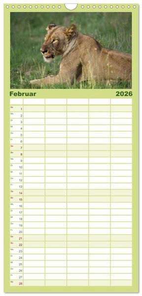 Produktbild: Familienplaner 2026 - Abenteuer Afrika - Im Paradies der Tiere mit 5 Spalten (Wandkalender, 21 x 45 cm) CALVENDO