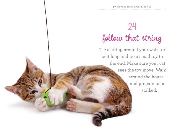 Produktbild: 97 Ways to Make a Cat Like You