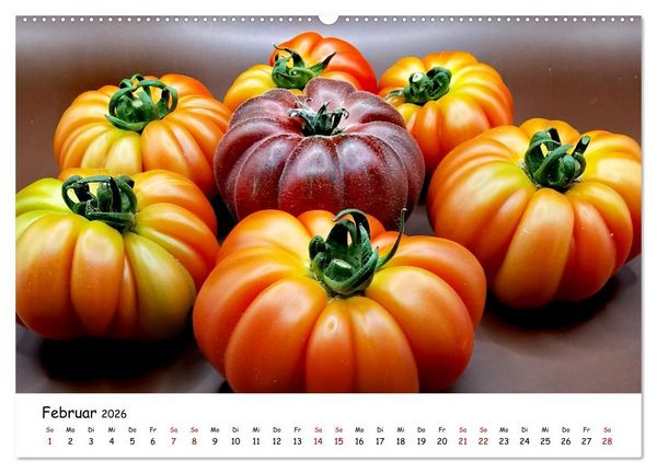Produktbild: Tomaten Satt (hochwertiger Premium Wandkalender 2026 DIN A2 quer), Kunstdruck in Hochglanz