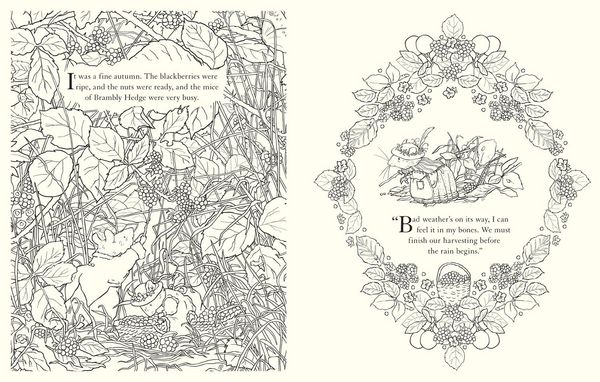 Produktbild: BRAMBLY HEDGE_BRAMBLY HEDGE PB