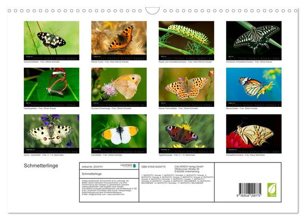 Produktbild: Schmetterlinge (Wandkalender 2026 DIN A3 quer), CALVENDO Monatskalender