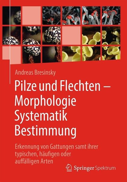 Produktbild: Pilze und Flechten - Morphologie, Systematik, Bestimmung