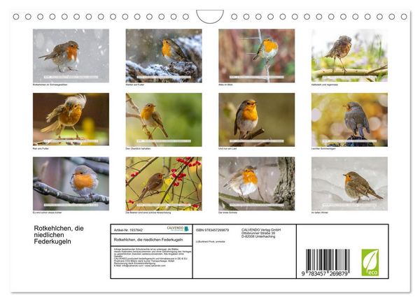 Produktbild: Rotkehlchen, die niedlichen Federkugeln (Wandkalender 2026 DIN A4 quer), CALVENDO Monatskalender