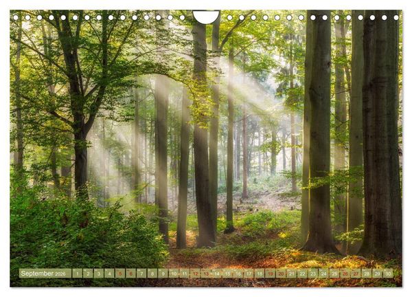 Produktbild: Wege zur Entspannung 2026 (Wandkalender 2026 DIN A4 quer), CALVENDO Monatskalender