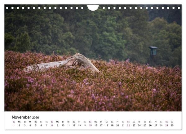 Produktbild: L&uuml;neburger Heide (Wandkalender 2026 DIN A4 quer), CALVENDO Monatskalender