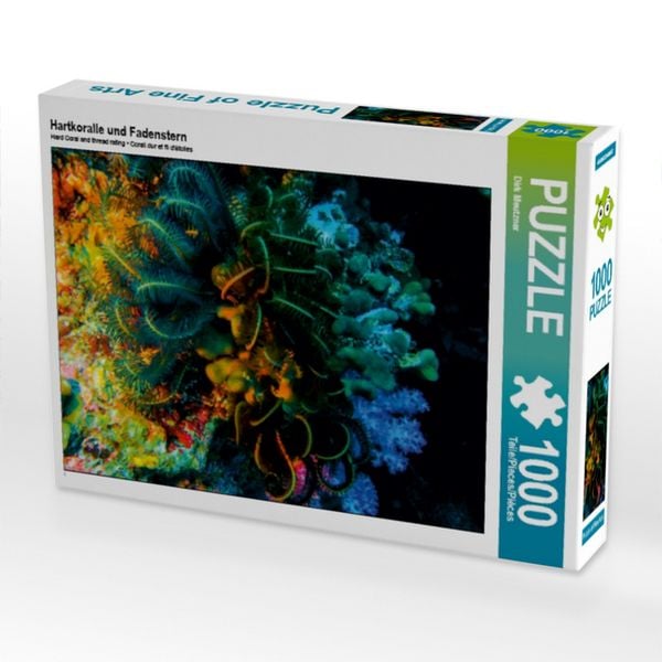 CALVENDO Puzzle Hartkoralle und Fadenstern | 1000 Teile Lege-Größe 64x48cm Foto-Puzzle für glückliche Stunden