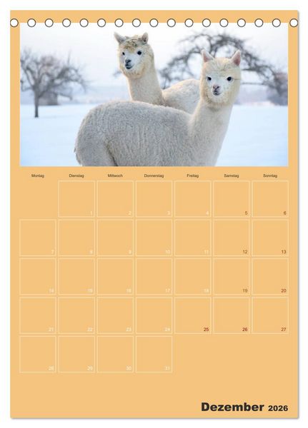 Produktbild: Alpakas zum Verlieben (Tischkalender 2026 DIN A5 hoch), CALVENDO Monatskalender