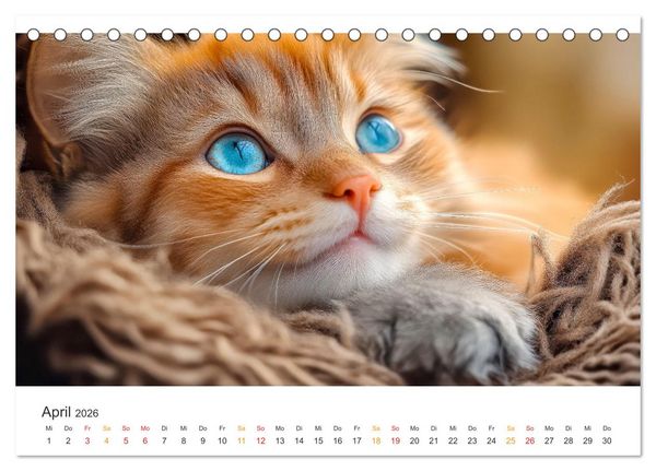 Produktbild: Katzen - Kalender f&uuml;r alle Miezenfans (Tischkalender 2026 DIN A5 quer), CALVENDO Monatskalender
