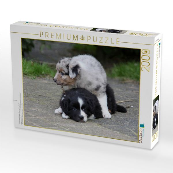 Produktbild: Spielende Australian Shepherds Welpen (Puzzle)