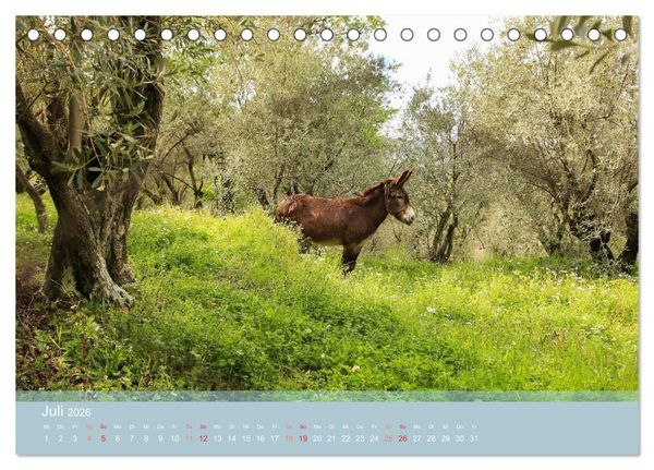 Produktbild: Lesbos - Inselimpressionen (Tischkalender 2026 DIN A5 quer), CALVENDO Monatskalender