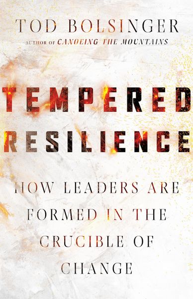 Produktbild: Tempered Resilience