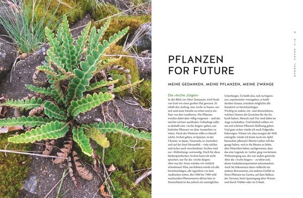 Produktbild: Der Pflanzenretter