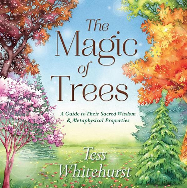 Produktbild: The Magic of Trees