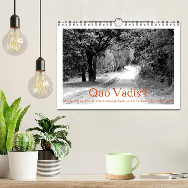 Produktbild: Quo Vadis? W&auml;lder und Wege in der R&ouml;hn, L&uuml;neburger Heide und der Mecklenburgischen Seenplatte (Wandkalender 2026 DIN A4 quer), CALVENDO Monatskalender